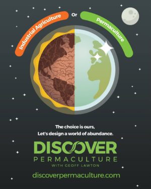 Geoff Lawton Instagram - Industrial Agriculture Vs Permaculture

A lot of people are unaware of the negative impact of industrial farming and the positive impact of permaculture. Some of humanity's most pressing issues, including soil degradation, loss of biodiversity, pollution, and food insecurity, can be solved with permaculture design strategies.

You can learn more about permaculture by joining The Permaculture Circle, which hosts 100's of Geoff's free videos, animations, PDFs, and other permaculture resources, just by providing your email address here: https://www.discoverpermaculture.com/thepermaculturecircle

But if you're ready to dive right in, you might want to consider enrolling in Geoff's 2024 Online Permaculture Design course. In it, you'll gain a comprehensive understanding of permaculture design, principles, and practices. You can find a direct link to the course in our bio. If you decide to enroll, make sure to use the code 'INSTA150' to receive a $150 discount on tuition.

#permaculture #discoverpermaculture #permaculturecourse #permaculturedesigncourse #agriculture #industrialagriculture #permaculturedesign #sustainable #sustainableliving #sustainability #regenerative #regenerativeagriculture #organicfarming #organicgardening #ecofriendly #greenliving #permacultureliving