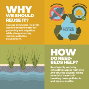 Geoff Lawton Instagram - Ready to transform your household greywater into a thriving ecosystem? Discover how with our latest infographic, offering a step-by-step guide on creating greywater reedbed systems. By harnessing nature's filtration power, you'll not only conserve water but also save money and prevent downstream pollution.

Interested in diving deeper into permaculture? Geoff's online Permaculture Design Certificate course provides comprehensive training in designing regenerative systems like these and much more! Click the link in our bio to learn more and sign up today! 

#permaculture #discoverpermaculture #permaculturecourse #greywater #reedbed #gardening #irrigation #greenliving #greendesign #sustainable #sustainableliving #sustainability #ecofriendly #waterconservation #recycling #recyclewater #environmentallyfriendly #renewableresources #organicgardening #howtomake #diy
