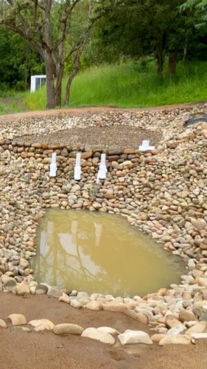Geoff Lawton Instagram - The wildlife swimming pool is filling up, surrounded by natural beauty, and features sand beaches, a diving bank, and meticulous stone placement 🌿🏞️🐾

#permaculture #discoverpermaculture #zaytunafarm #wildlifepool #wildlifepond #naturalswimmingpool #wildlife #ecosystem #permaculturedesign #australiancattledog #cattledogpuppy