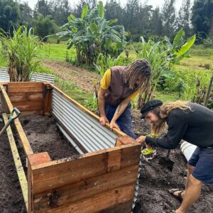 Geoff Lawton Instagram - With the help of Mario and Fabio, Geoff is in the kitchen garden, creating a new raised garden bed using recycled materials. After heavy rains saturated our contour beds, Geoff opted for this practical solution. He started by placing logs and sticks at the bottom for drainage, then added rich soil, compost, and mulch, and finished with seedlings. 

#permaculture #diacoverpermaculture #raisedgardenbeds #organicgardening #gardening #recycling #sustainability #DIY #greenthumb #backyardgardening