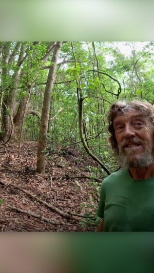 Geoff Lawton Instagram - Nature's composting engineers! 🦃🌿 

#permaculture #discoverpermaculture #forest #nature #wildlife #ecosystem #bushturkeys #compost #composting #compostbuilders #sustainablefarming #permaculturefarm #farm #zaytunfarm #permacultureresearchinstitute