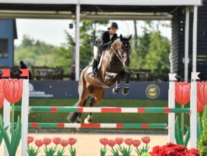 Georgina Bloomberg Instagram - Week 1 here in Traverse City was a great one, with Jasper and Rico Suave earning the championship in the Small Pony Hunters and winning the Classic, clear rounds from Viking and Nikita in the jumpers, my horses all earning top ten placings in the FEI and National classes, and Cassina closing out the week with a double clear performance in the 3* Grand Prix. 📷: @andrewrybackphotography @traversecityhorseshows