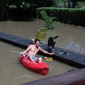 Gerardo Chendo Instagram - Cuál de todas las perras no es Roma?