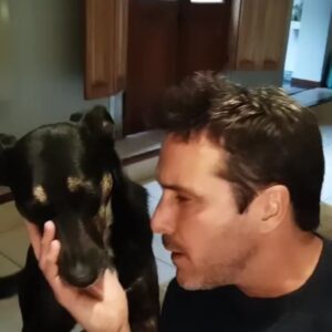 Gerardo Chendo Instagram - Cuál de todas las perras no es Roma?