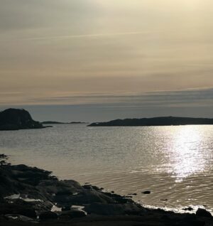 Gert Wingårdh Instagram - Lite ögonblick på Toftahalvön.

Först den lilla bäcken där småfisk redan skyggt gömmer sig. Nu har jag ått längs den här stranden i trettio år. Landhöjningen håller exakt takt med det stigande havet. Ingen noterbar förändring. Vattnet känns renare och livet om möjligt starkare. Huggormarna söker värme och sol. Nya människor vågar promenaden runt halvön. 

Igår gick dolen ner över Stens huvud vid Björnbärsholmarna.

Vinterstormar har tagit träbryggan. Vågorna slår loss den underifrån.

Fåglarna visslar att det är vår!