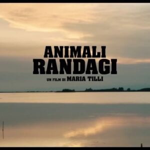 Giacomo Ferrara Instagram - Un incontro, quello di Luca e Toni con Emir e sua figlia Maria in viaggio verso la Serbia, che cambierà per sempre le loro esistenze, diventando spunto per una profonda riflessione sul senso della vita.

#AnimaliRandagi, un film di Maria Tilli con Giacomo Ferrara, Andrea Lattanzi, Ivan Franek, Agnese Claisse, dal 27 giugno #SOLOALCINEMA.

@h4mburgerl4dy  @giacomo.ferrara @_andrea_lattanzi @boompr.it