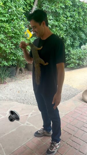 Gilles Marini Instagram - This is how we feed Benny Ben ❤️ 🐿️ 
Sorry for the funny voice. He’s kinda of reacting well to it. 
#loveall #life #acceptance #squirrel