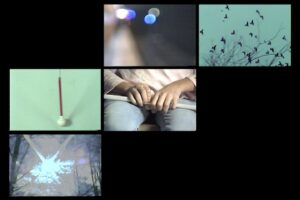 Gillian Zinser Instagram - head over to @NOWNESS to watch BLIND BEAUTY, a sensorial video collage exploring how the visually impaired understand and experience the concept of beauty, offering a confrontation to our own perceptions and addictions. 

Made in collaboration with the amazing kids at the New York Institute of Specialized Education and The Lavelle School for the Blind.

DP: @lorenzopacedop 
AC: @alexa_mini 
Sound Design: @freeaktion @sonoresstudios @j.boogy 
Sound Recording: @tbeardsworth 
Title Design: @frasermuggeridgestudio 
Producer: @we.are.lief 

💕 link in bio