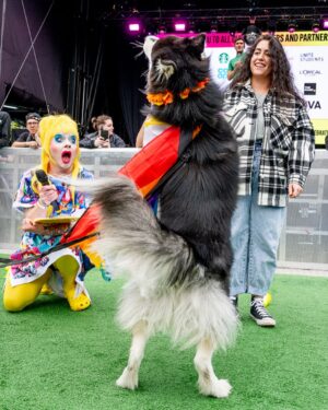 Ginny Lemon Instagram - GINNY LEMON’S DOG SHOW 🐾

Thank you so much for everyone that came to the dog show yesterday at @manchesterpride we nearly didn’t make it with last minute venue change, rain & delayed astroturf 🤣 but the amazing team at Manchester Pride came together to pull this amazing fabulous event off! Thanks to all the pups & puppies involved and of course the amazing judges! Will share loads more snaps but had to share these of my favourite dogs 🐶 

📸 @shirlaine_forrest 💛