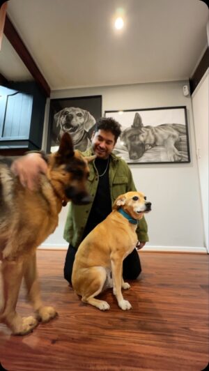 Gino Costa Instagram - 🙌 Hermosos retratos a carbón de Lorenza y Hachi realizados con mucho amor por @homenaje.mascotas 🩵 que lindo es tener a nuestras guaguas inspirándonos en nuestro lugar favorito de nuestro hogar🐶
