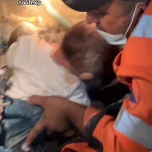 Giorgia Würth Instagram - Questi uomini sono eroi.
Da 10 mesi scavano senza sosta a mani nude tra le macerie in cerca di vita.

II bimbo è stato salvato, mentre la sua mamma giaceva morta accanto a lui.

Questi uomini sono angeli.

Il diavolo travestito da democrazia ha ucciso l’1,8% della popolazione di #Gaza dal 7 ottobre. Lo sostiene l’Ufficio centrale palestinese di statistica, secondo cui il 24% delle vittime sono giovani (di età compresa tra 18 e 29 anni). Il 70% dei feriti a Gaza sono donne e bambini, mentre circa 10.000 persone risultano disperse e due milioni sono sfollate.

Chiamarlo #genocidio non basta più.