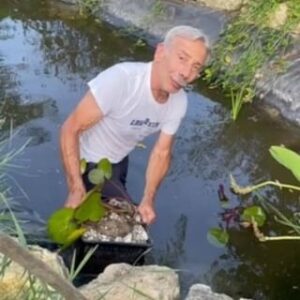 Giovanni Storti Instagram - Piante fitodepuratrici, nifee e piante galleggianti renderanno unico e magnifico il nostro nuovo stagno…da cui non riesco più ad uscire 🪴

#GiovanniStorti #Giova