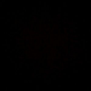 Girish Kumar Instagram - Today of all days I feel a void in me, although it hit me yesterday I didn’t want to accept it. I couldn’t accept it, Rishi Kapoor sir is no more. He was my first favourite hero, Bol Radha Bol was one of my favourite movies. I used to admire him a lot, he was a huge part of my childhood, I guess I feel I also lost a part of my childhood as well. His smile, his charisma, unmatched!! Strength and prayers for the family.

Om Shanti 🙏🏻 💔