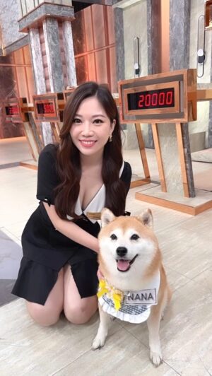 Gladys Tsai Instagram - 星攻略史上最可愛的來賓沒有之一
絕對就是萌寵Nana😍
好想養一隻柴柴喔！！
整個攝影棚都被融化了♥️
@nana_aleng 
#love #life #pet #dog #shiba #cute #work 
#工作 #生活 #日常 #柴柴 #柴犬 #寵物 #可愛
