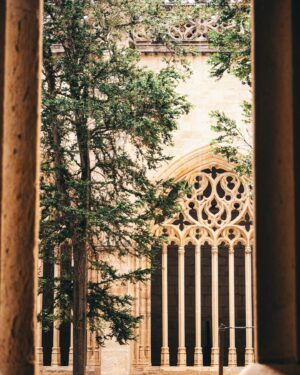 Gonzalo García Vivanco Instagram - Segovia  y  su belleza medieval!
