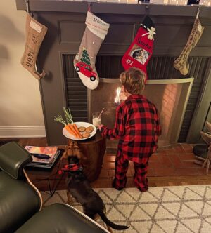 Greg Rikaart Instagram - ‘It’s okay. Santa is fireproof.’ - Monte