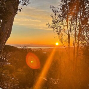 Greg Rikaart Instagram - My son and I were up a 545 this morning and went outside to watch the sunrise.  He took this photo.  The last sunrise of 2020, which was truly stunning.  Please let this be a harbinger for a beautiful, calm and soul-renewing year ahead.  Happy New Year, everyone.