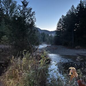 Gregor Gillespie Instagram - I remember two years ago when we went on a whim to climb  whiteface one weekend that we had free,  Christina @x_tina0227 told me how hard climbing a high peak would be. I shrugged it off and told her “all I do is workout, don’t forget that”. She also told me she thought it would take us 10 years to complete our 46. I guess we were both wrong because I REALLY struggled up that first mountain,  and here we are exactly two years later and only 10 peaks to go! Thank you for introducing me to this wonderful journey and there is NO one that I’d rather be doing it with! You’re the toughest woman I know and I love you with ALL of my ❤️. (These pictures are from mt Marshall)