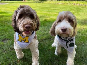 Gretchen Whitmer Instagram - national dog month. is about.. celebrating🎉 your. BEST!! FRIENDS!!
 here are. some. pawsome🐾 tips. to make..the MOST. of it.
🥾 EXTRA walks! to.. explore! new trails. and parks! 🍦 tasty treats! maybe some.. dog-safe. ice cream?? 💖💕 more cuddles! and. belly rubs.