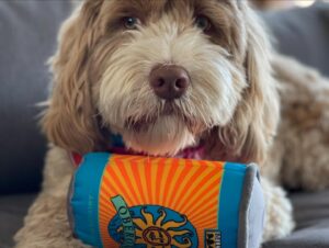 Gretchen Whitmer Instagram - national dog month. is about.. celebrating🎉 your. BEST!! FRIENDS!!
 here are. some. pawsome🐾 tips. to make..the MOST. of it.
🥾 EXTRA walks! to.. explore! new trails. and parks! 🍦 tasty treats! maybe some.. dog-safe. ice cream?? 💖💕 more cuddles! and. belly rubs.