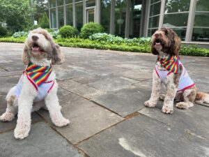 Gretchen Whitmer Instagram - national dog month. is about.. celebrating🎉 your. BEST!! FRIENDS!!
 here are. some. pawsome🐾 tips. to make..the MOST. of it.
🥾 EXTRA walks! to.. explore! new trails. and parks! 🍦 tasty treats! maybe some.. dog-safe. ice cream?? 💖💕 more cuddles! and. belly rubs.