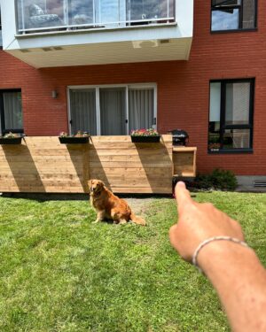 Guillaume Pineault Instagram - Ouais ben, je me suis fait un deck!

On m’a appelé M. Pineault à la quincaillerie Home Dépôt. En même temps j’ai fait 17 aller-retour, un moment donné, on me reconnait de la cour à bois jusqu’à la caisse. 

Pour les intéressés, j’prends les contrats pour l’été. 

À noter : 
- Je mesure en centimètre. Pas vrai que je vais commencer à faire des coupes à 5/8 fort. De un je ne comprends rien, et de deux, même en centimètres mes coupes sont fortes. 

- Après mes coupes, si ça dépasse je recoupe pas, j’y vais à la sableuse… ça prendra le temps que ça prendra, anyway je charge à l’heure. (Les bout sont super doux, parce que je prends du papier 120). 

- Tarif à l’heure : 500$ (tu sauves car pas de taxes).

- Tu peux m’aider, mais c’est 50$ de l’heure de plus (Pour ton training et ta formation). 

- Chacun de mes doigts vaut 25 000$, faque parle-moi pas pendant que je suis sur la scie, ça pourrait te couter cher. 

- J’utilise pas de niveau, j’y vais à l’œil. Si une fois fixé c’est croche, inquiètez-vous pas, j’y vais à coup de marteau pour égaliser le tout, ça crochi les vis pis ça donne de la force à la structure, trust moi, c’est solide. Pour les empreintes de marteau, ça fait rustique. 

- Mes vis son trop longue faque je visse toujours en angle pis quand ça dépasse, c’est de même, ça éloigne les voleurs, c’est une sécurité. Sinon je peux les botter avec mon grinder, mais y’a un extra. 

- J’enlève pas mes bottes pour aller pisser en dedans chez vous. J’laisse la porte patio ouverte, parce que j’aime ça avoir une petite draft d’air clim de temps en temps. 

- Mes outils font du bruit parce que je les ai toutes pogné au pawn shop, mais je les adore parce qu’ils sont toutes Jaunes, parait que c’est des bons ça selon Bobby, le vendeur. (Pour les intéressés, il achète ton Or, Bobby).

- J’ai des pertes dans le bois… pas vraiment lors des coupes, plus lors du transport, je strappe pas les planches dans le pick-up (J’comprends pas les criss de strap, pis si je réussi à strapper, je ne sais pas comment les dé-strapper) !

Ps : Pour vrai, je suis quand même fier du deck.
Ps2 : Non j’ai pas fait ça seul 😅
Ps3 : Pauline adore sa petite porte!