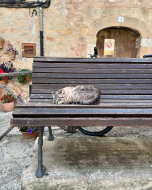 Guillaume Pineault Instagram - Majorque 🏝️ 

Un ti-moka devant une mince porte à Alcùdia, un drink unique et 1000 tapas à Palma, une porte verte à Alcùdia, une ride de catamaran à Calvià, une céramique et un ti-chat à Valdemossa, une ride de char vers Sa Calobra, une autre porte verte à Alcùdia, et la plus belle plage que j’ai vue de ma vie à Santanyí. 

✌🏻 

J’aime beaucoup l’Espagne et les portes.

Ps: Le chien qui a l’air super smath dans la beetle, m’a jappé et grogner dessus, juste 1 secondes après ma photo et j’ai un peu failli pissé dans mes short! Yep! 

Ps 2: j’ai dit failli, mais… en tout cas, j’ai plus aimé les portes !