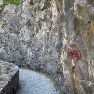 Gülsim Ali Instagram - Doğa güzellikleri 💚