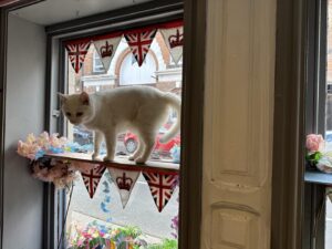 Gyles Brandreth Instagram - And while I’m in cafe mode, let me recommend the delightful & delightfully eccentric Shakespaw Cat Cafe in Union Street, Stratford upon Avon.  Purrfect in my book!