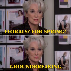 H. Alan Scott Instagram - 🚨The Devil Wears Prada 2!!!🚨

Did you hear?! They just announced a sequel is in the works! It’s about time! 

What do you think? Excited? Worried? Scared? Plans to bust out the cerulean?! Sound off in the comments!

Clips from ‘The Devil Wears Prada’ ©️20th Century Studios.
.
.
.
#merylstreep #devilwearsprada #annehathaway #emilyblunt #devilwearsprada2 #meme #memes #quote #quotes #nostalgia #nostalgic #fyp