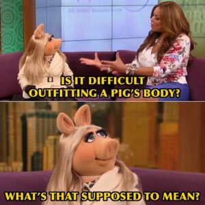 H. Alan Scott Instagram - My body, my bacon.

When I say Miss Piggy is my personality, I literally mean Missy Piggy is my personality. My hips don’t lie, and they’re mostly made of ham.

Also, can we show some love for Miss Wendy Williams? I miss her every day.
.
.
.
#MissPiggy #themuppets #wendywilliams #wendywilliamsshow #quote #quotes #meme #memes