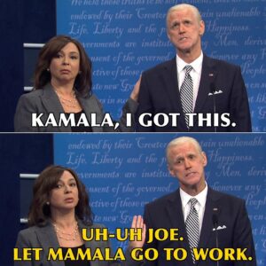 H. Alan Scott Instagram - WAIT! I just realized Kamala Harris being the nominee means more Maya Rudolph on Saturday Night Live. For this I am grateful. 
.
.
.
#mayarudolph #snl #saturdaynightlive #meme #memes #quote #quotes #fyp