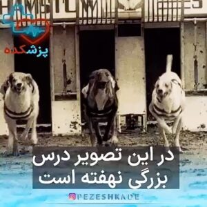 Habib Esmaili Instagram - گاهی سکوت در برابر برخی آدم‌ها بهترین پاسخه ……