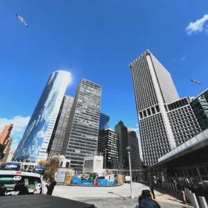 Hajime Shacho Instagram - ニューヨークに行ってきました🗽
動画お楽しみに！😾
花粉が飛んでなくてとっても生きやすかったです。