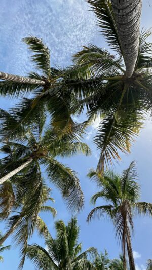 Haley Grable Instagram - @bakerscayresort in Key Largo was a dream 😍

#floridakeys #summervacations #floridalife #floridaliving #miamiflorida #floridakeyslife #keylargo #islamorada