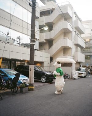 Hama Okamoto Instagram - 🍢🐻‍❄️💴

series_Elephant In The Room #19