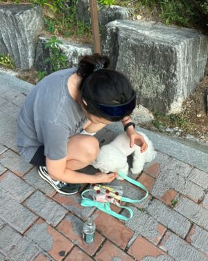 Han Hye-yeon Instagram - 𝕋ℍ𝔼 ℂ𝕌𝕋𝔼𝕊𝕋 ℝ𝕌ℕℕ𝕀ℕ𝔾 𝕄𝔸𝕋𝔼 🐶🐶
있잖아 너 분명히 걷는다고 했잖아 어뜩할래 ~~;;;
집에 가까? ㅋㅋㅋㅋㅋㅋㅋ stop & go 를 백번하다 결국 안고 
남산행 7km 오운완🏃‍♀️ 그래두 고마웠어 모래 주머니 효과😅

#인생뭐있어 #타협하지않는삶 #모닝루틴 #오운완