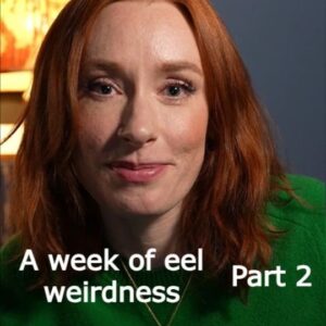 Hannah Fry Instagram - Some r-eel-y good studies trying to figure out the eel-usive Eel

A portrait of the neurophysiologist as a young man: Clause, Darwin, and Sigmund Freud's search for the testes of the Eel (1875-1877) by Matthew Perkins-McVey (2022)

Sur la maturation complete des organes genitaux de l'anguille male et l'emission spontanee by M Fontaine (1936)