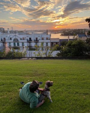 Hannah Gadsby Instagram - I had a good time in you Sydney…Great crowds. Great views. Great asbestos. Nuna also had a good time. #woof! 

FYI…On this tour I am trying to find the sweet spot between agoraphobia and panic attacks…So I did me some gentle extra-curricular… Sunset with Nuna… spiders with Louise Bourgeouis… and fresh fresh nourishing greens courtesy of @kylie_kwong and the team at Lucky Kwong ❤️ 

Winning trifecta 🌇🕷️🥬