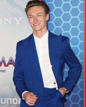 Harrison Osterfield Instagram - What an epic week x congrats again bro @tomholland2013 🔥 #spidermannowayhome 

Photocred: Chelsea Lauren / Shutterstock