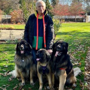 Harvey Fierstein Instagram - in the company of dogs - where I couldn't be happier! Davis, his little sister Georgia, and Good Time Charlie.