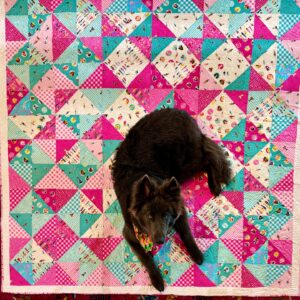 Harvey Fierstein Instagram - Just completed this BARBIE & KEN quilt for my grand-niece on my new long arm machine but... BOBO has claimed it for himself. He'll get over it.