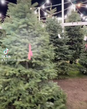 Heidi N Closet Instagram - Merry Christmas from The Three Stooges 

Thank you @chris_mcmxci for the Christmas shoot

#treeshopping #welovetrees #tour #xmas #sissythatlot #modelsmodelling #chrissymissys