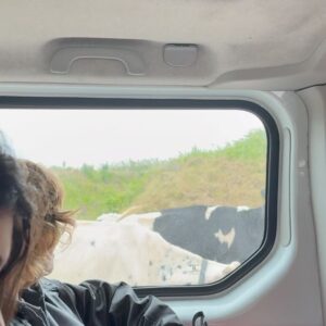 Helena Caldeira Instagram - Resumo muito resumido das filmagens na Ilha Mágica. ( porque o IG só deixa postar 10 fotos e eu ainda não aderi aos reels - porque sou meio ciberfóbica )
Uma maratona de quase dois meses a percorrer São Miguel de uma ponta à outra, ora de dia, ora de noite. Com as vizinhas vaquinhas sempre a espreitar pelos prados e as vezes pelas estradas. Também elas fizeram parte, mas também muit_s açoren_s, dentro e fora do set. 
Obrigada a tod_s! 

Foi rija a festa pá !

@netflixpt 
@ukbarfilmes 

#rabodepeixe #turnofthetide #azores #shooting #series #netflix
