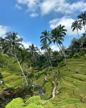 Helena Costa Instagram - Que sítio incrível! #cretya #ubud