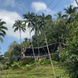 Helena Costa Instagram - Que sítio incrível! #cretya #ubud