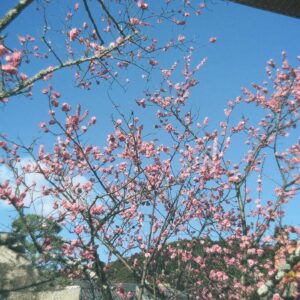 Hideyoshi Kan Instagram - 人生2回目の清水寺に行ってきました🇯🇵⛩️
幼少期の頃とは見え方が全く変わってて、
僕もちょっとは大人になったのかなと思いました笑

また色んな京都のお寺巡りしたいなと思いました。

#簡秀吉 
#楽しんでる秀吉