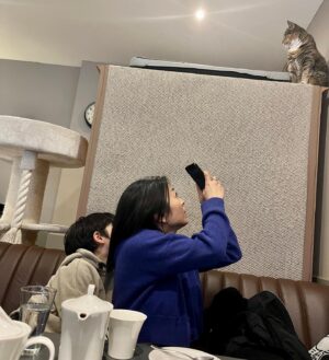 Hikaru Utada Instagram - パリファッションウィークでHermesのパーティーやSacaiのショーというあまりにもシャレオツな世界に潜入させてもらった翌日、ロンドンに帰ってスーツケースを玄関にぶっ込んで息子と放課後猫カフェに行って癒されるの図。
電話受付もお客さんも猫みたいな写真撮れたから見て…😹
これ書いてる現在は近所の、お年寄りやクタクタの洋服着てる人しかいないようなカフェに入ってホッとしてる笑

After an incredibly fashionable and stellar weekend (hitting up an Hermes party and a Sacai show) at PFW, I got off the Eurostar in London, chucked my suitcase in the entrance of my house and went to a cat cafe with my son. They’ve got a great receptionist and clientele, as you can see here… 
I’m writing this in a cafe with local elders and people wearing clothes that look like they’ve been washed a hundred times (including myself), and feeling a bit relieved😅