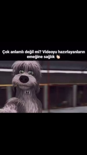 Hilal Saral Instagram - 