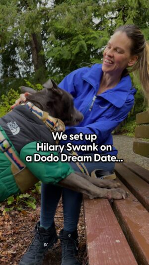 Hilary Swank Instagram - Will Hilary Swank and her blind date hit it off? 🌹

We’re pairing celebrities and shelter dogs up for the cutest blind date in our new series #DodoDreamDate. In this episode, @hilaryswank spends the afternoon with adoptable Winnie! 

Special thanks to @hilaryswank

To learn more about adopting Winnie head to @thepittieprojectpnw

Directed, Produced, & Edited by:
@parham_thedodo

Casting by
@taylorthedodo

Production Support by:
@belinda_thedodo